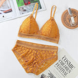 Sexy Lace Bra and Panty Set Push Up Bra Lace Panty Set Seamless Women's Underwear Panties